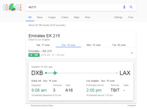 Google flight status