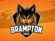Brampton Wolves - GT20 Canada 2019