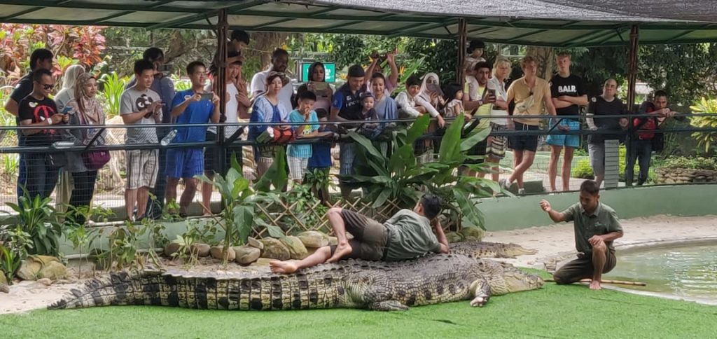 Croc show in Langkawi
