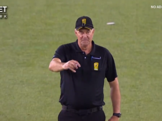 Umpire George Davidson in BBL 2019