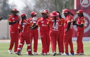 TSW U16 vs ZIM-WA 2020 - ODD Fantasy Preview