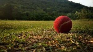 How fantasy cricket unites people around the world