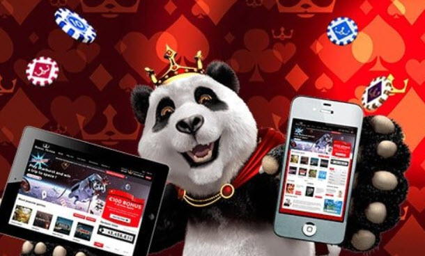 Royal Panda launches sports live streaming