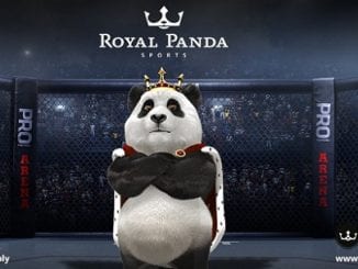 Bet on BFC MMA Games Only on Royal Panda!