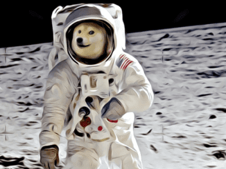Elon Musk Suggests DOGE Fees Based on Phases of Moon