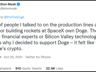 Elon Musk's Tweets Stops Shiba Inu's Momentum