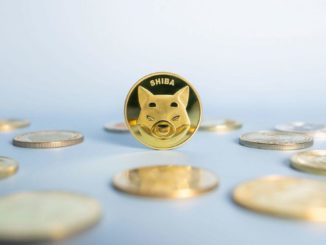 Shiba Inu Coin Hits Record High of $0.00007