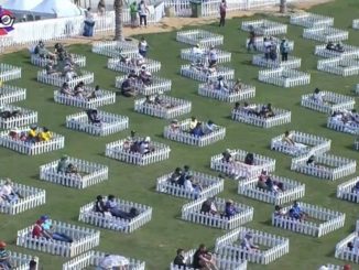 See Unique Seating Arrangement in Abu Dhabi