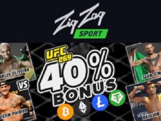 UFC 269 Bonus - 40% on Next Deposit on ZigZag