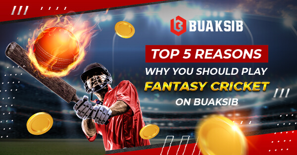 Top 5 Reasons Why You Should Play Fantasy Cricket on Buaksib