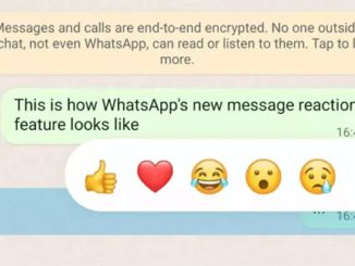 Users Can Now React to Messages on WhatsApp