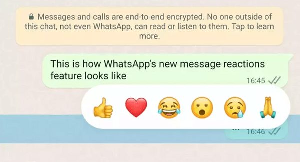 Pengguna Sekarang Dapat Bereaksi terhadap Pesan di WhatsApp