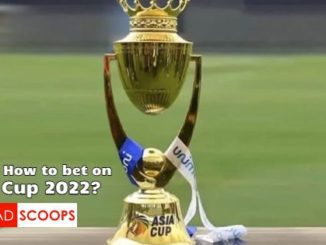 Asia Cup 2022 - Top 5 Betting Websites