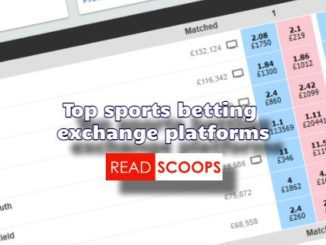 Top 5 Best Sports Exchange Websites