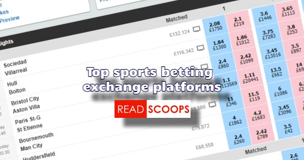 Top 5 Best Sports Exchange Websites
