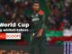 ICC T20 World Cup - Most Wickets List