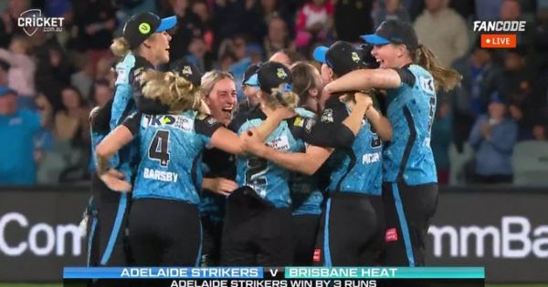 WBBL 2023: Best Reactions to Adelaide Strikers' Win
