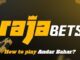 How to Play Andar Bahar on Rajabets?