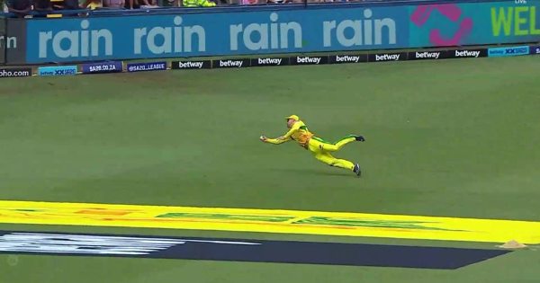 WATCH: Faf du Plessis Catch in SA20 Goes Viral