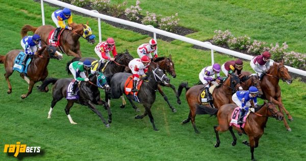 A Beginner's Guide to Horse Racing Betting in India