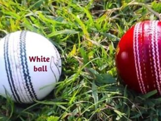 The Nuances of Cricket: White Ball vs Red Ball