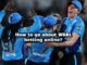 Women's Big Bash League 2024 Betting Online | Rajabets