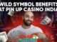 Wild Symbol Benefits at Pin Up Casino